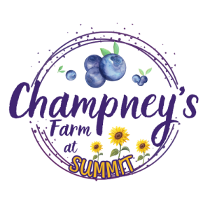 Sponsor Logo for Champney's Farm at Summit