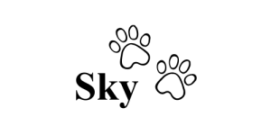 Sponsor Logo for Sky