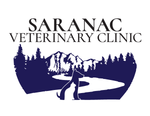 Sponsor Logo for Saranac Veterinary Clinic