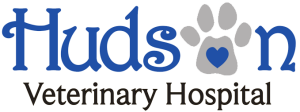 Sponsor Logo for Hudson Veterinary Hospital