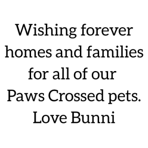 Sponsor Logo for Bunni