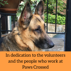 Sponsor Logo for Dedicated to the Staff and Volunteers