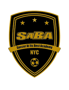Sponsor Logo for SABA NYC