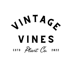 Sponsor Logo for Vintage Plant Co