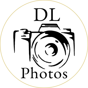 Sponsor Logo for DL Photography