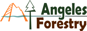Sponsor Logo for Angeles Forestry