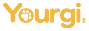 Sponsor Logo for Yourgi