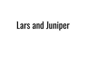 Sponsor Logo for Lars & Juniper