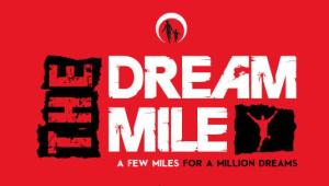 Paramount Software VIBHA DreamMile 2014