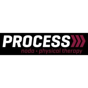 Sponsor Logo for Process PT