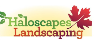 Sponsor Logo for Haloscapes LLC
