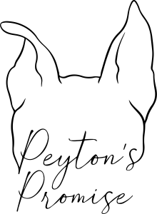 Sponsor Logo for Peyton's Promise