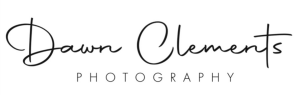 Thank You Sponsors! Logo for Dawn Clements Photography