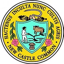 Sponsor Logo for Trustees of the New Castle Common