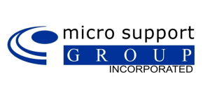 Sponsor Logo for Micro Support Group