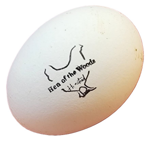 Sponsor Logo for Hen of the Woods Homestead