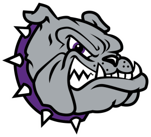 Team Logo for Brownsburg