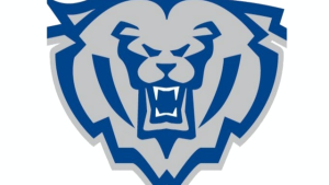 Team Logo for Hamilton Southeastern