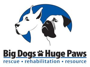 5k Fun Run with the Big Dogs