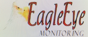 Sponsor Logo for Eagle Eye Monitoring