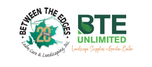 Sponsor Logo for Between the Edges / BTE unlimited