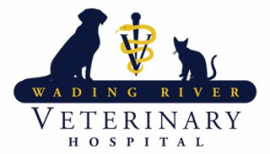 Sponsor Logo for WR VETERINARY