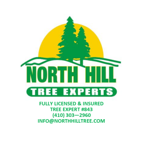 Sponsor Logo for North Tree Hill Experts