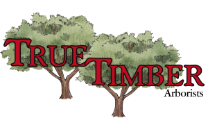 Sponsor Logo for True Timber