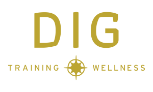 Sponsor Logo for DIG Training