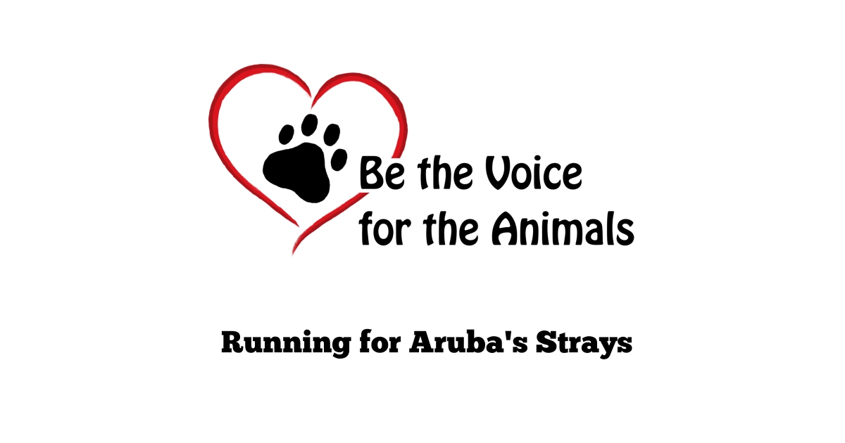 Virtual Jingle No Balls 5K Run Or 1 Mile Walk Individual virtual-jingle-no-balls-5k-run-or-1-mile-walk-individual