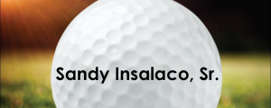 Sponsor Logo for Sandy Insalaco