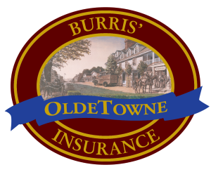 Sponsor Logo for Burris Insurance