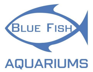 Sponsor Logo for Blue Fish Aquariums