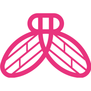 Sponsor Logo for StellaFly