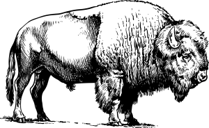 Sponsor Logo for Bison Insurance