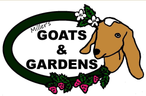 Sponsor Logo for Miller’s Goats and Gardens