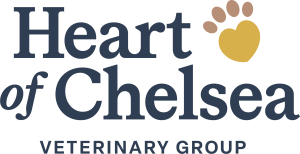 Sponsor Logo for Heart of Chelsea