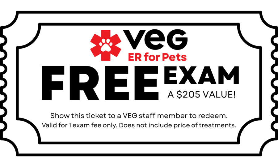 Sponsor Offer Image