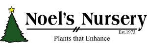 Sponsor Logo for Noel's Nursery