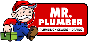 Sponsor Logo for Mr. Plumber - Honor Roll Partner
