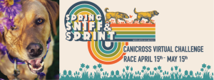 SPRING SNIFF & SPRINT home