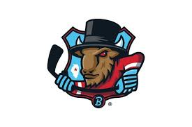 Sponsor Logo for Bloomington Bison