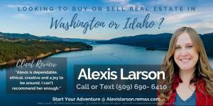 Sponsor Logo for Alexis Larson ReMaxx