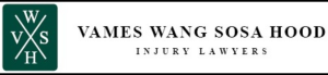 Sponsor Logo for Vames Wang Sosa Hood