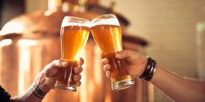 Brewery and Spirits Tour home