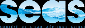 Sponsor Logo for SEAS