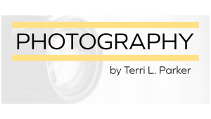 Sponsor Logo for Photography by Terri L. Parker