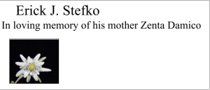 Sponsor Logo for Erick J. Stefko - In Loving Memory of his mother Zenta Damico