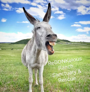 Sponsor Logo for ReDONKulous Ranch Sanctuary & Rescue, Inc