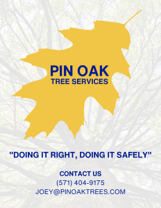 Sponsor Logo for Pin Oak Tree Service